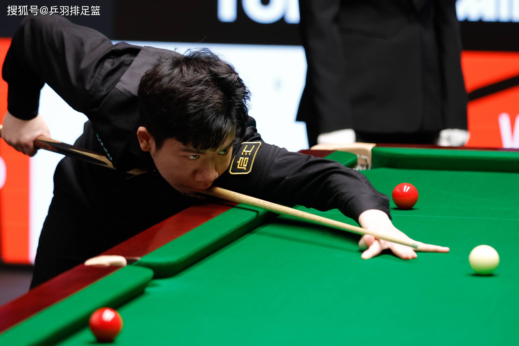 正是这些细 正是这些细