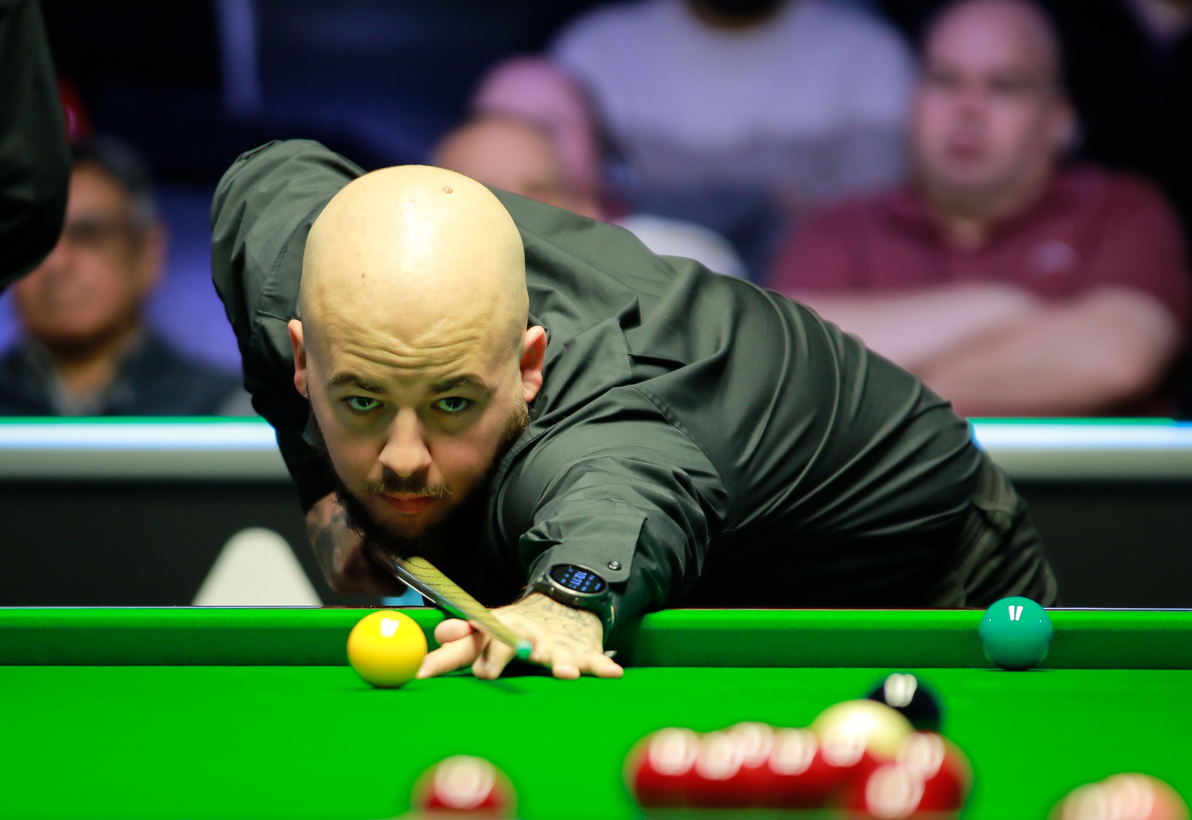 吸引了众多 吸引了众多